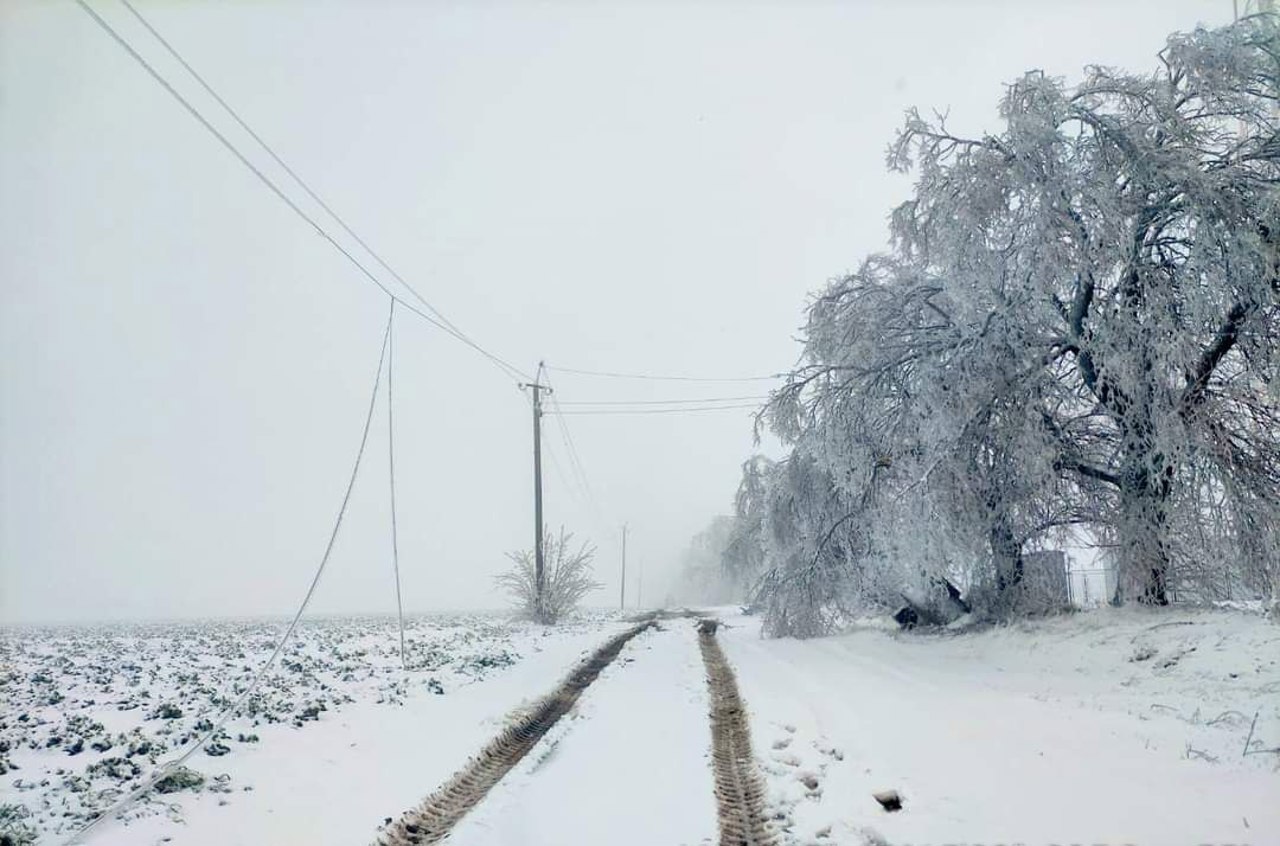 Telegram/Premier Energy