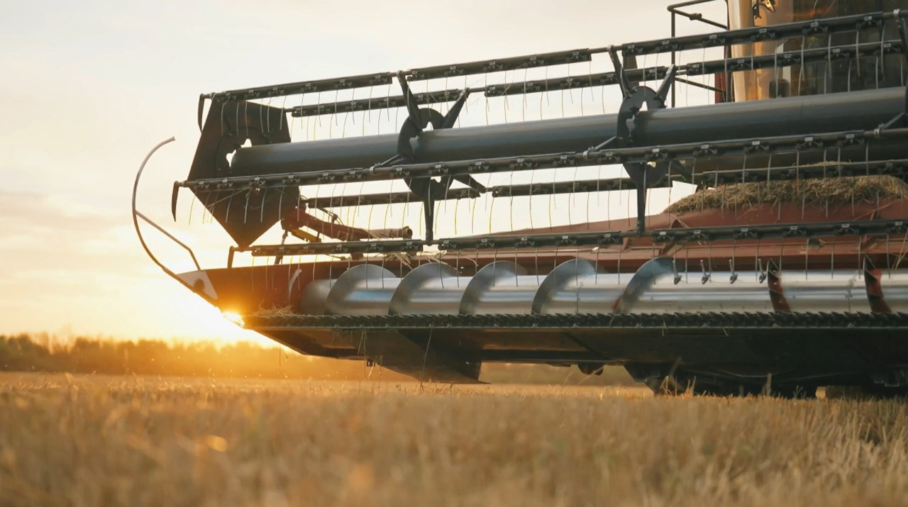 Un sfert de secol de transformare rurală: IFAD marchează 25 de ani de activitate în R. Moldova