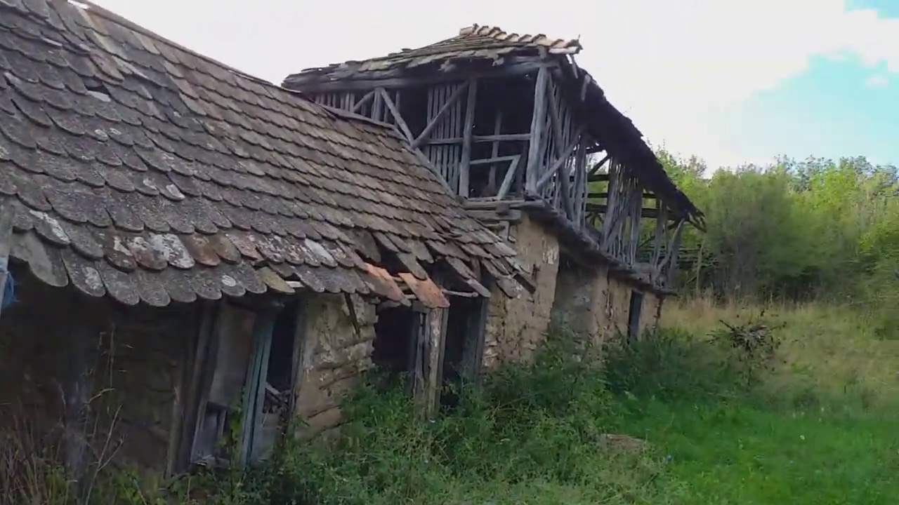Pitești, satul din sudul țării aproape părăsit: Depopularea transformă gospodăriile în ruine 