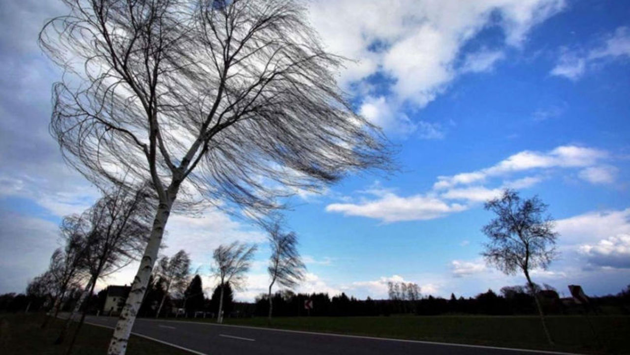 Meteorologii au emis cod galben de vânt puternic 