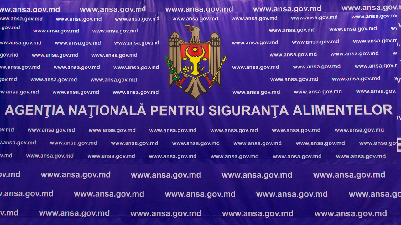 Реформа в ANSA: Количество подразделений и руководящих должностей будет сокращено