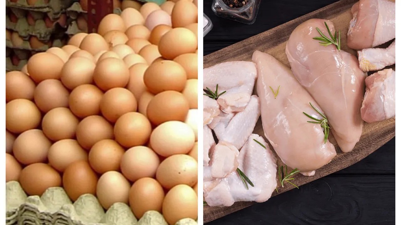 Metronidazol în ouă și carnea de pui: poate duce la apariția cancerului