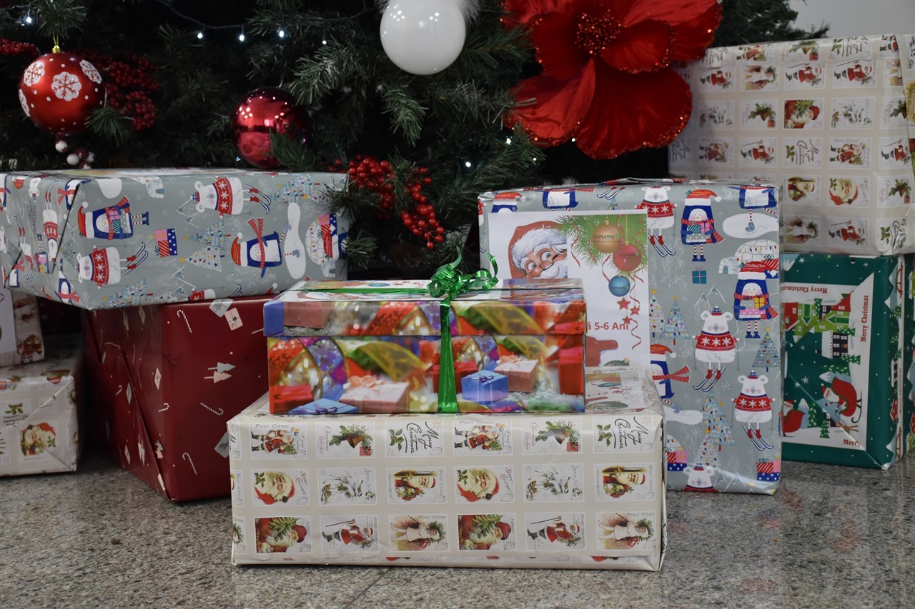 Solidaritate fără granițe: cum se construiește binele zi de zi