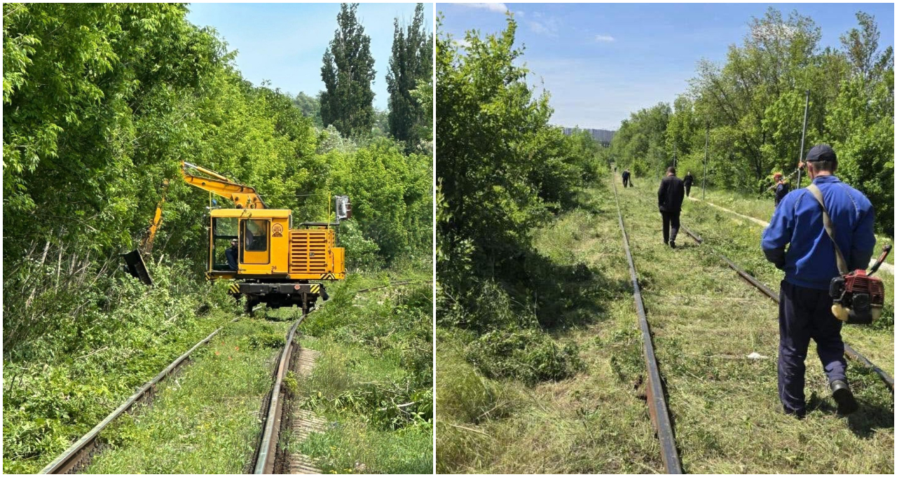 Siguranță pe șine: CFM a început defrișarea și curățarea vegetației de pe întreaga rețea feroviară din țară