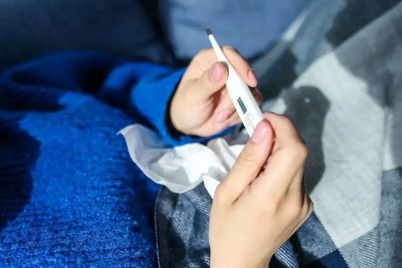 Opt cazuri de febră Q au fost depistate în Republica Moldova. Recomandările ANSP pentru cetățeni