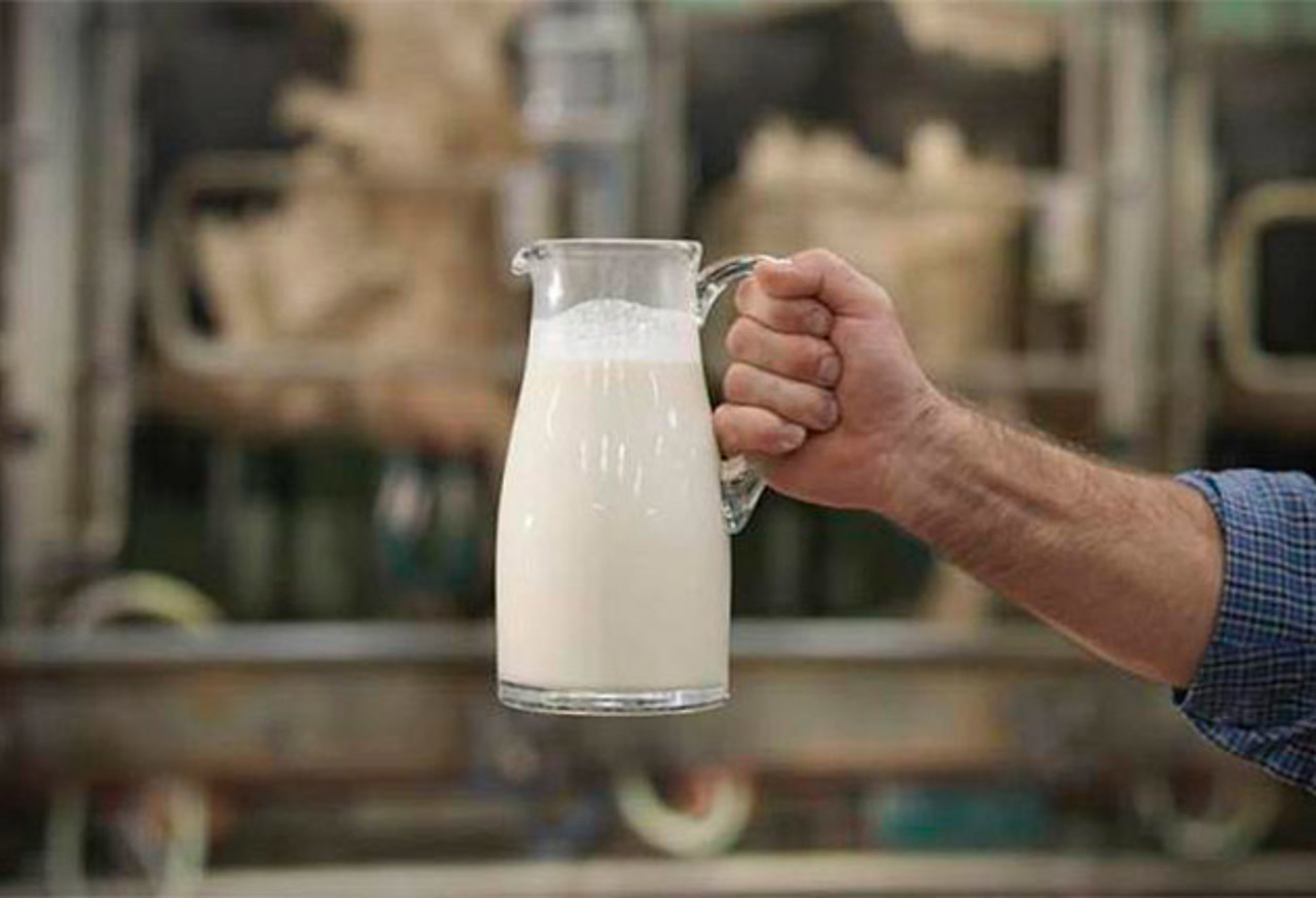 Subvenționarea pentru fiecare kilogram de lapte dă roade. Vladimir Bolea anunță că a crescut producția de lapte la fermele din țară 