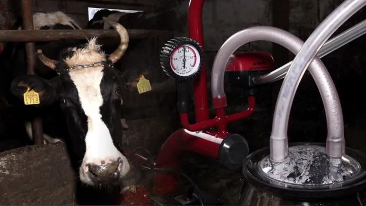 Fermierii din Pruteni și Hiliuți au primit echipamente moderne de muls cu sprijin internațional