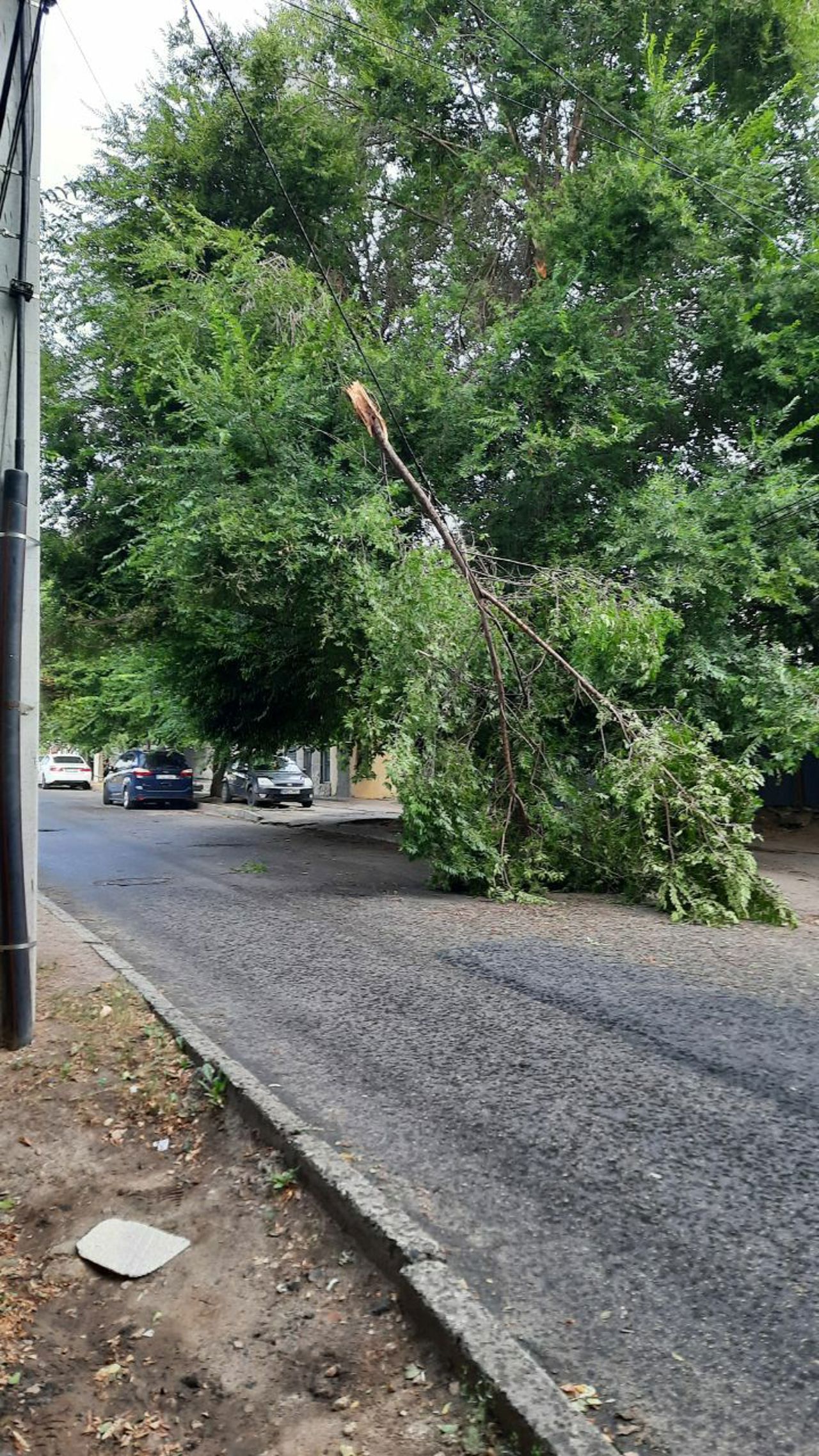 Telegram/Primăria Chișinău