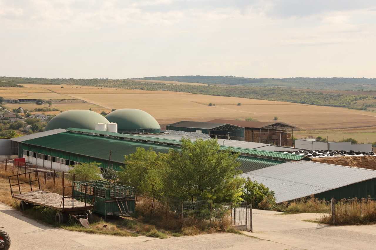 O companie din Hâncești transformă bălegarul de la ferma proprie în biogaz: Energie electrică gratuită, inclusiv în orele de vârf   