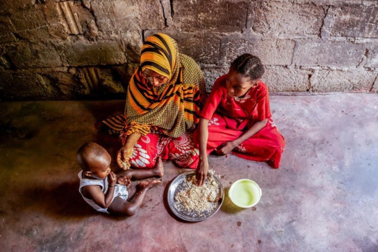Global hunger declines to 645 million but Africa worsens, UN says