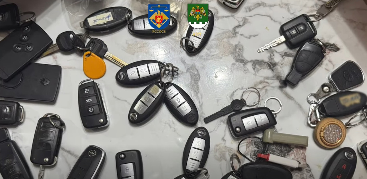 Rețea de contrabandă cu mașini, cu prejudicii de milioane, destructurată de oamenii legii