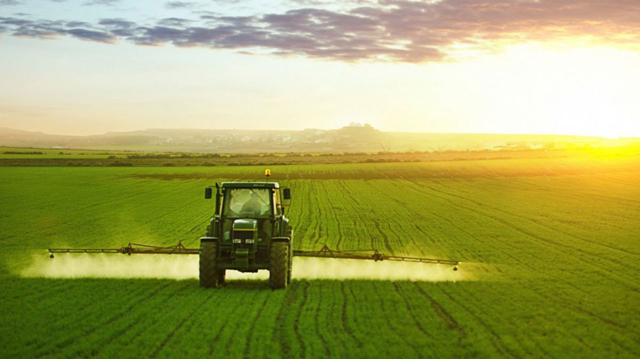 Законопроект: Министерство сельского хозяйства хочет отдельного подхода для крестьянских хозяйств