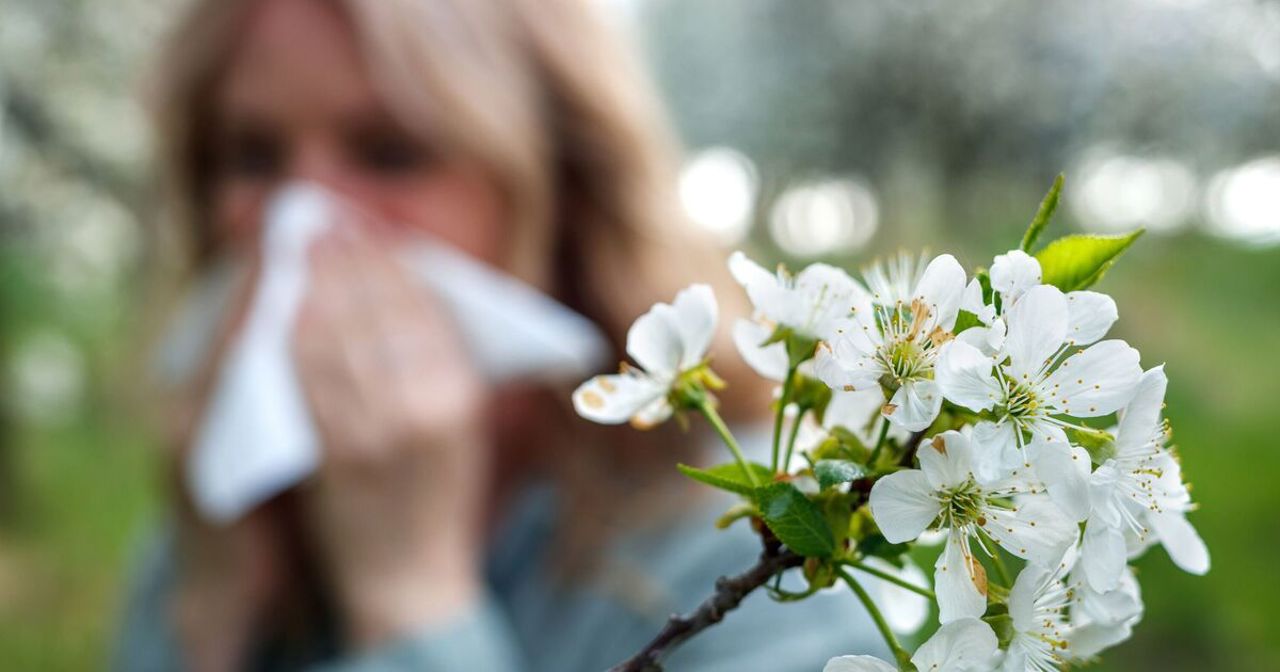 Atenție la „febra fânului”: Sfaturile specialiștilor pentru persoanele predispuse la alergii