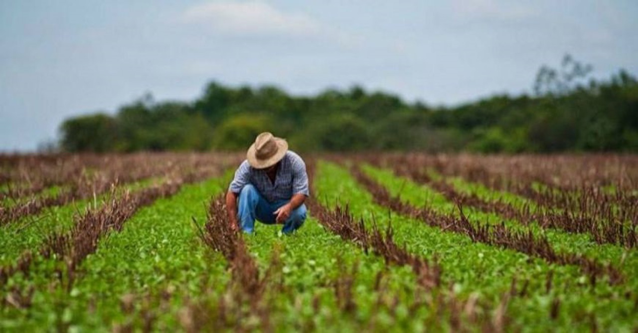 Dorin Recean promite agricultorilor achitarea a 900 de milioane de lei până la sfârșitul lunii iulie