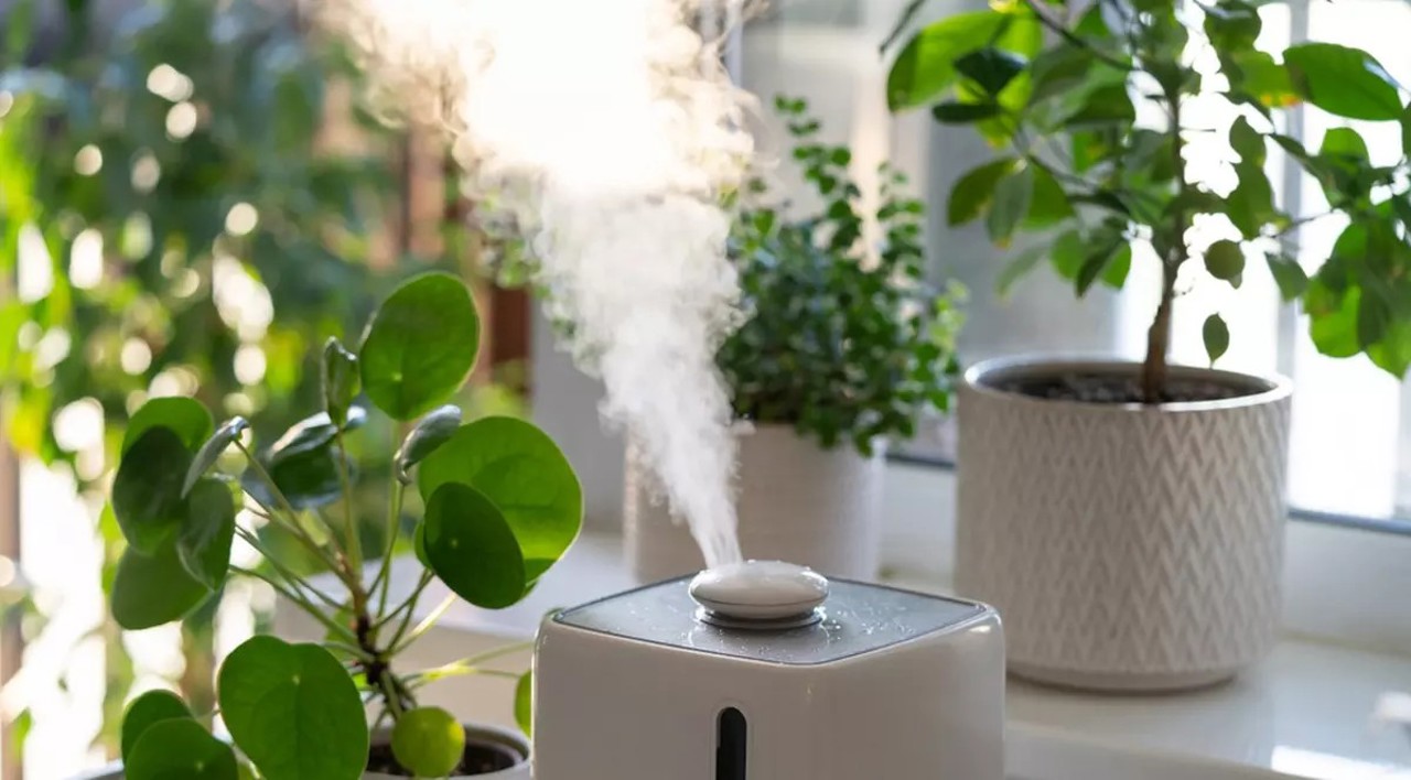 Prevent mold and boost respiratory health with proper ventilation