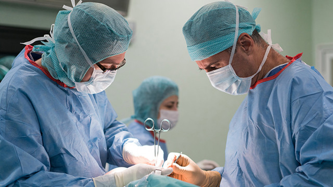 Aproape 90 de transplanturi realizate în 2026, în două instituții medicale din R. Moldova: CNAM a alocat 12.5 milioane de lei