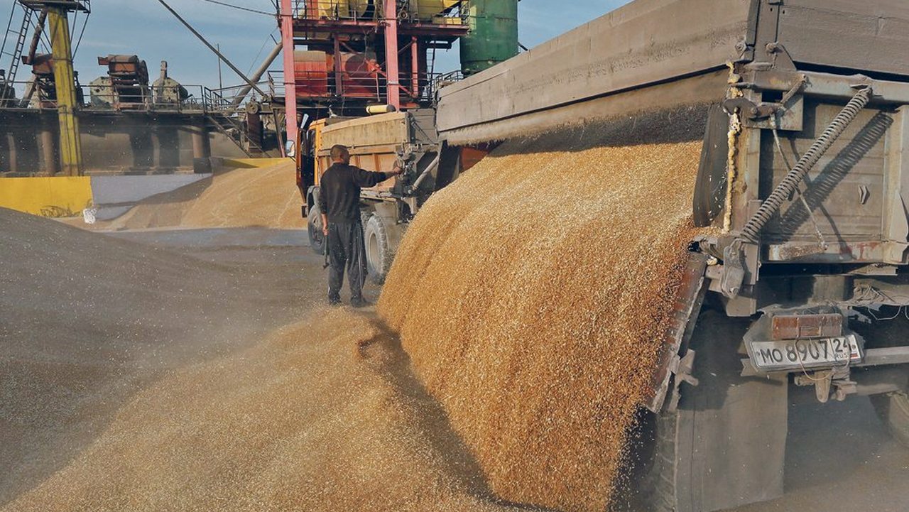 Romania to allow Ukrainian grain imports