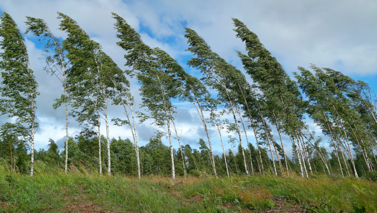 Avertizare meteo: Cod galben de vânt puternic în toată țara, Urmează înghețuri