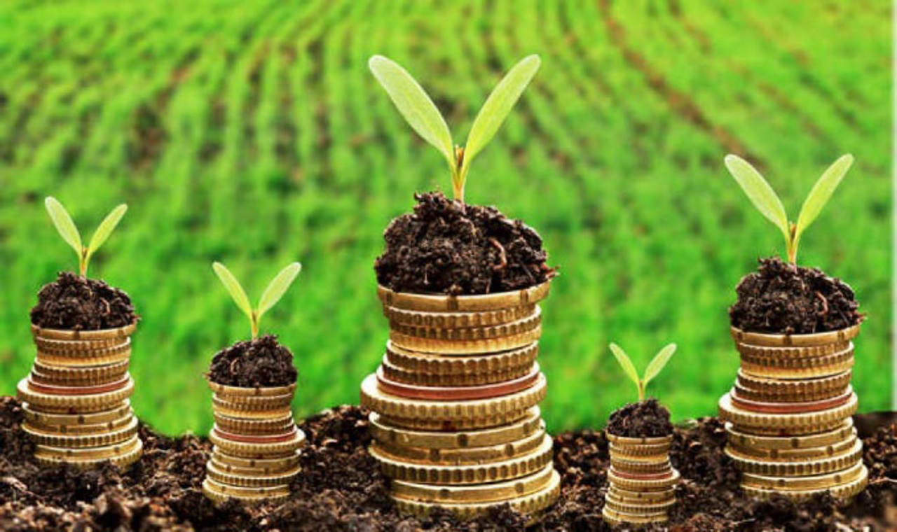 Proiectul de lege cu privire la subvenționarea în agricultură și mediul rural a fost aprobat