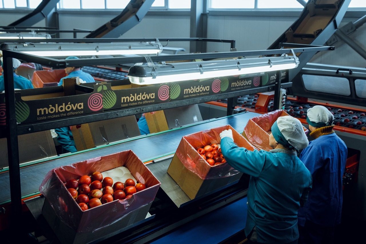 România și Turcia, statele în care vindem cele mai multe produse moldovenești