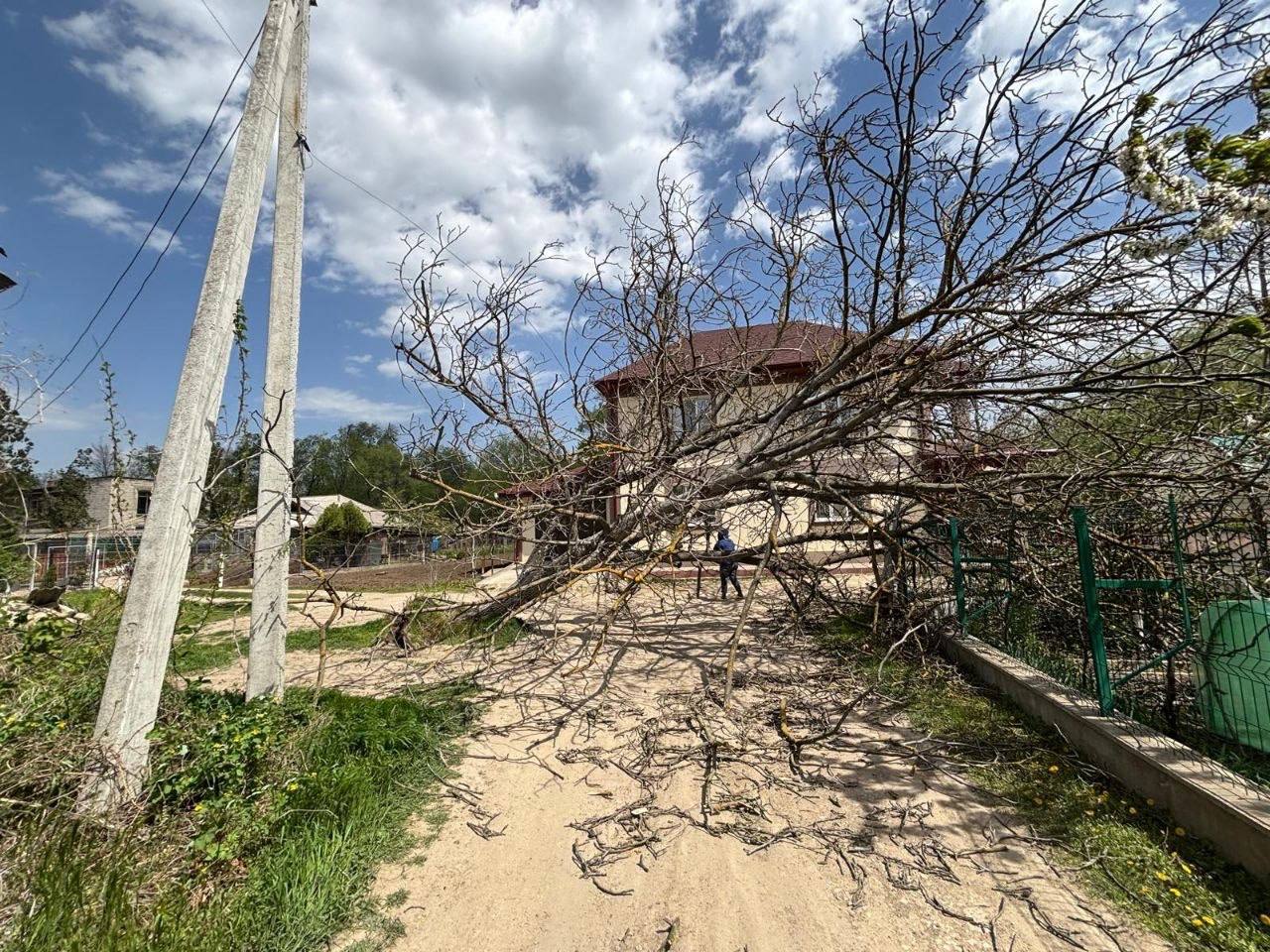 BILANȚ | Vântul de duminică a provocat peste 230 de incidente: O persoană a decedat și alte cinci au fost traumatizate