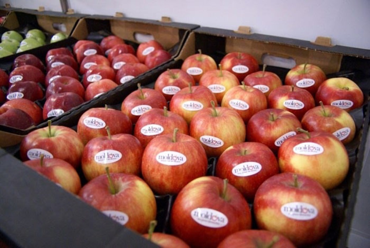 Apple growers forecast a smaller crop this year due to the drought