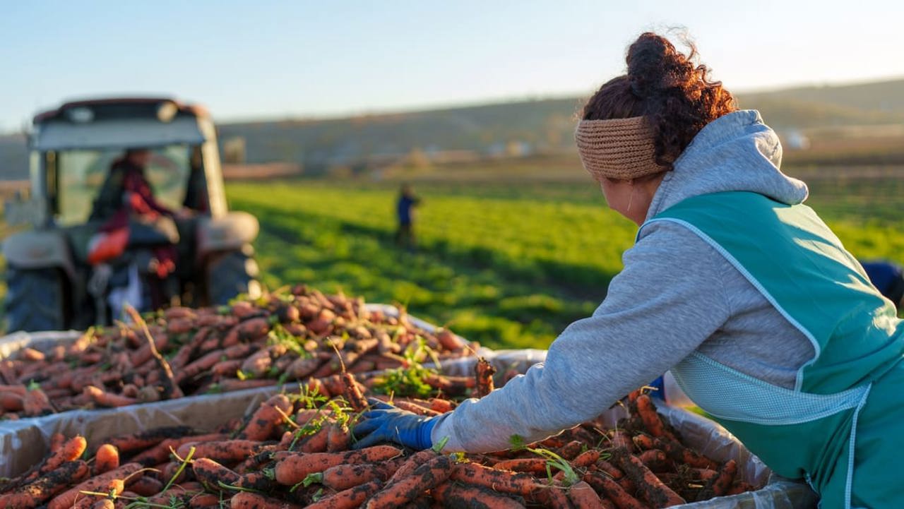 Moldova: agriculture workers lauded as data reveals lowest pay