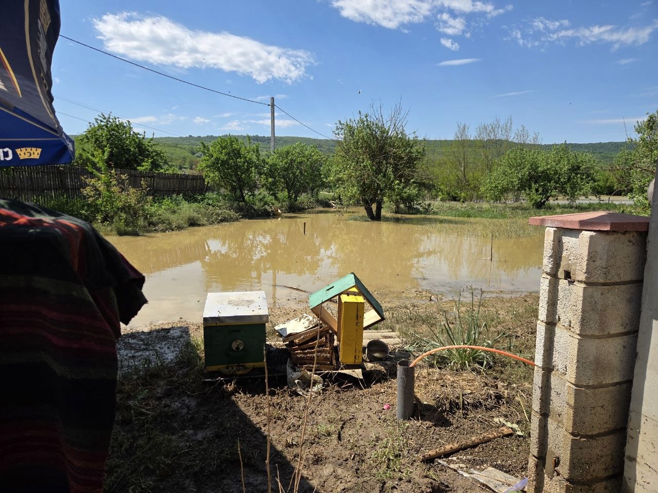 FOTO | Inundații și pagube în zeci de gospodării din raionul Călărași: Președinta cere Guvernului și ministerelor responsabile să evalueze pagubele 