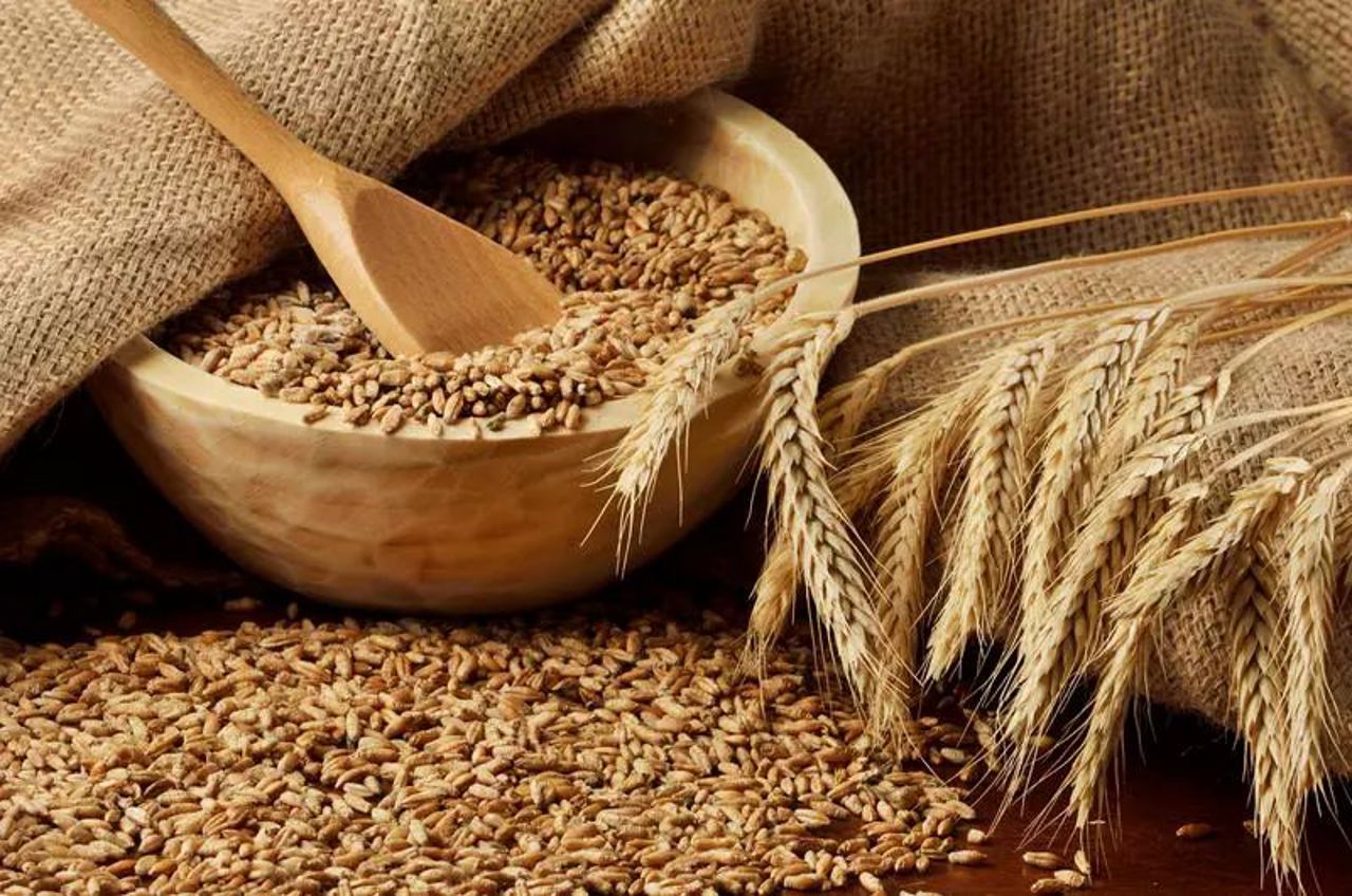 Importurile de cereale ar putea fi licențiate până la sfârșitul anului 2024