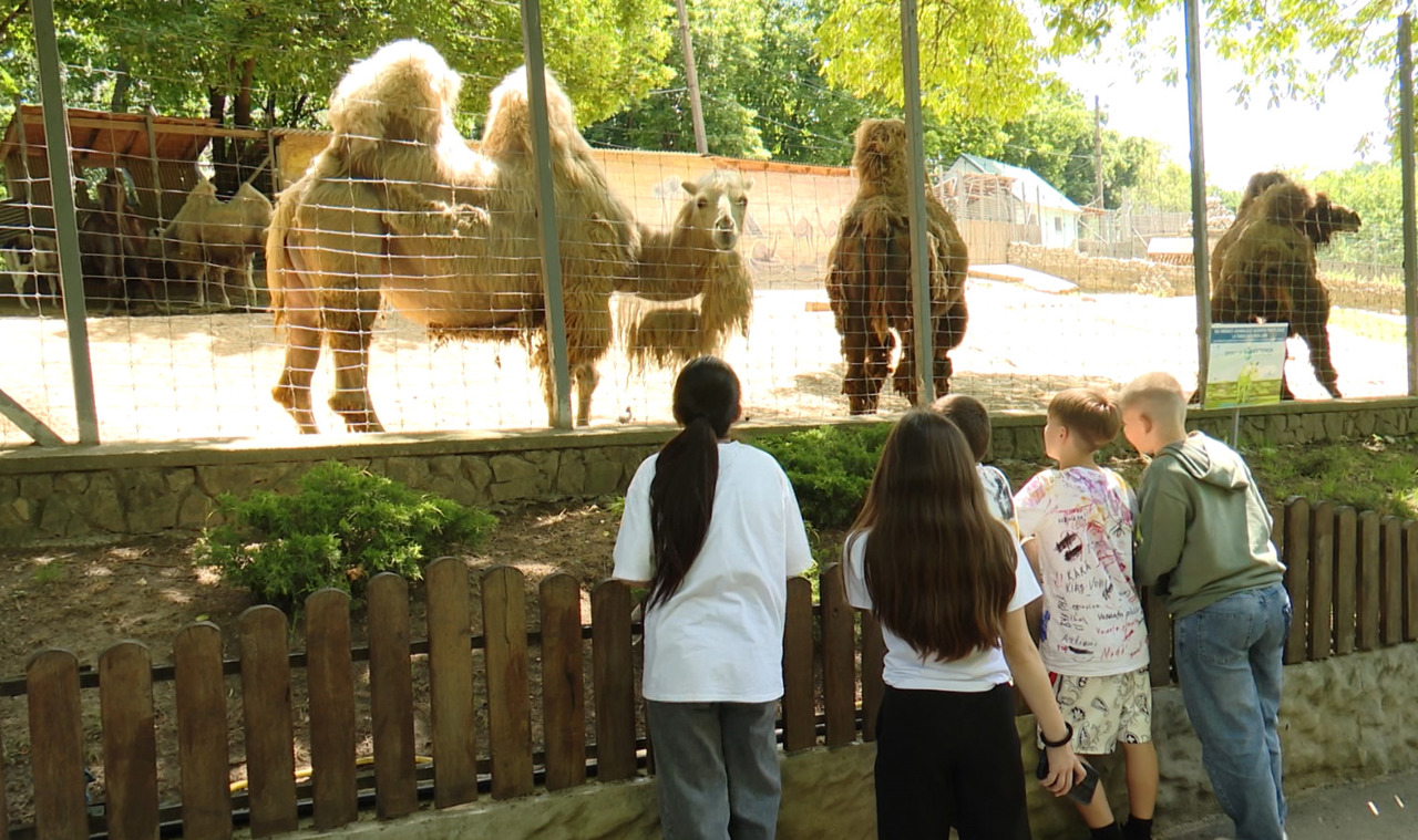 Start de vacanță cu recomandări de la IGSU