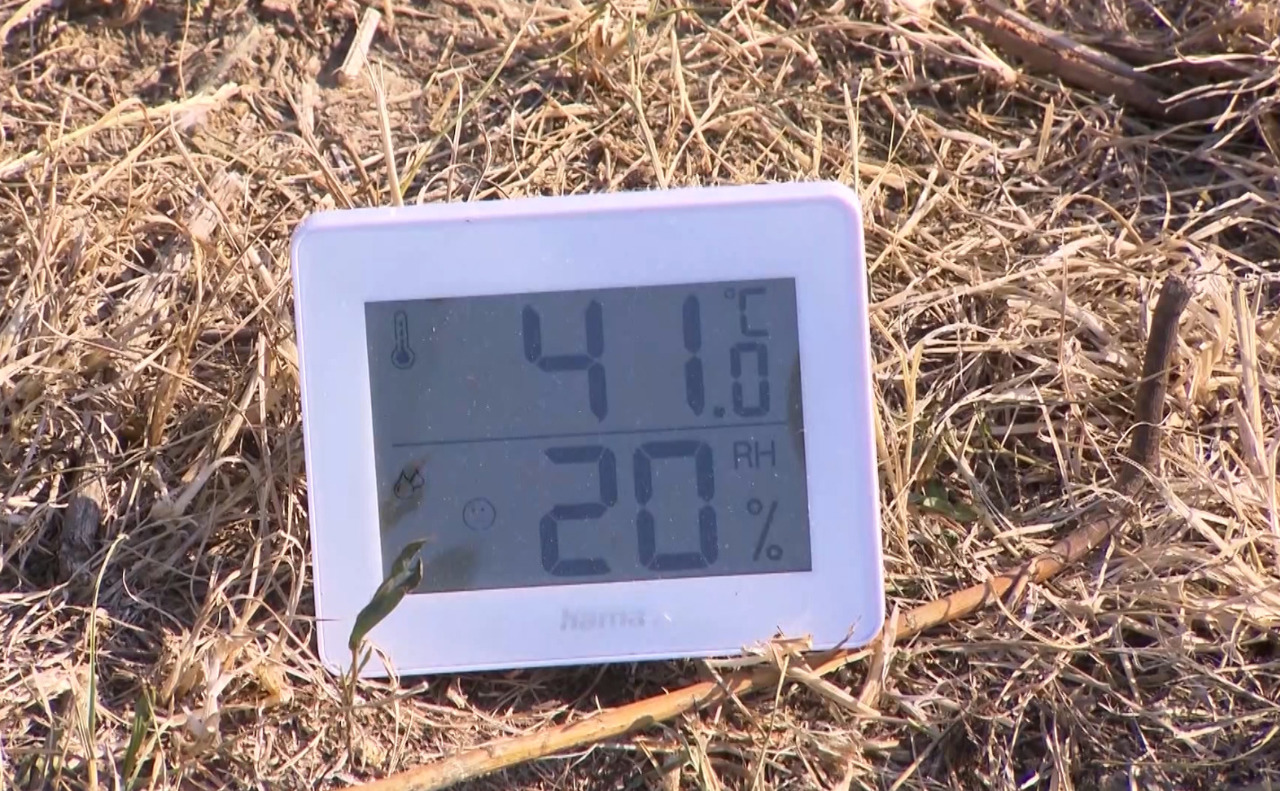 Canicula extremă lovește Europa: Meteorologii avertizează că valul de căldură va continua