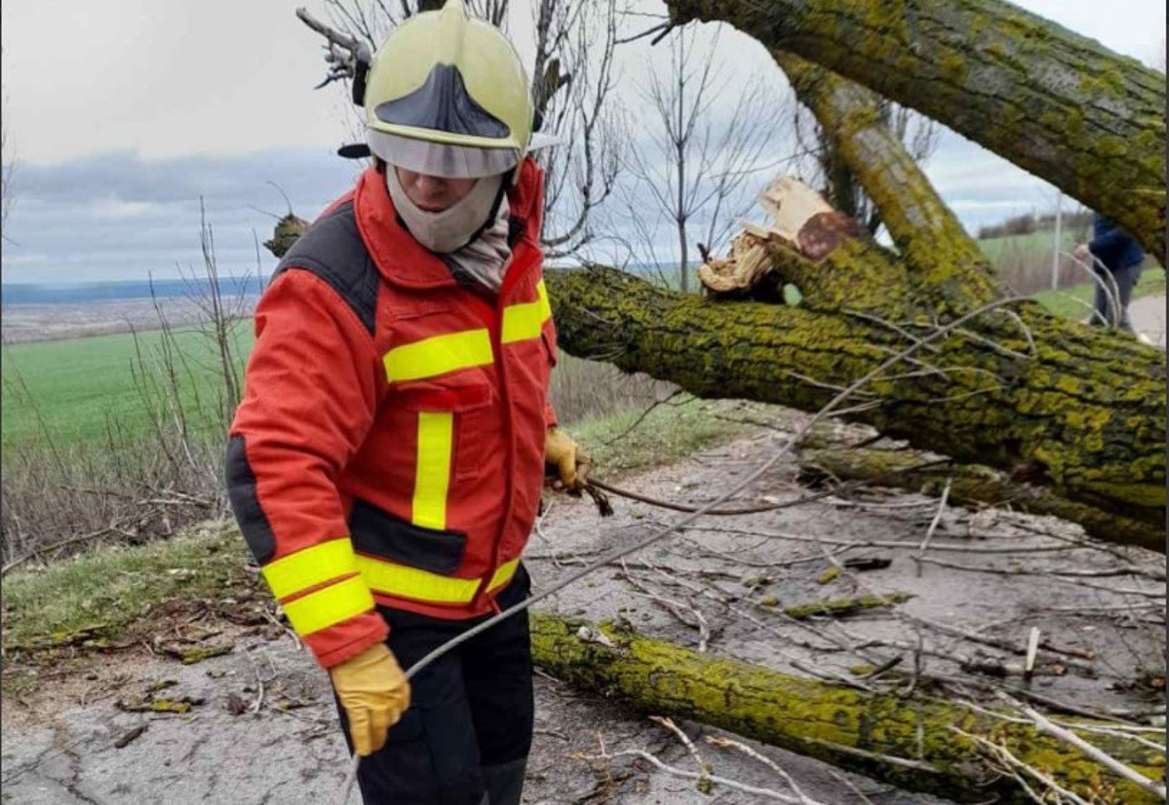 Furtuna a lăsat 32 de localități fără lumină. Specialiștii intervin în teritoriu