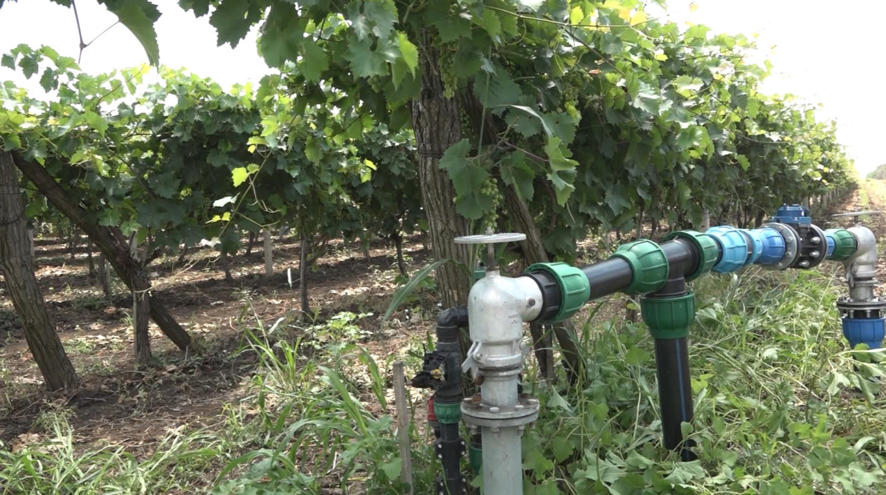 Nouă infrastructură de irigare la Cahul: Producția agricolă ar putea crește de patru ori