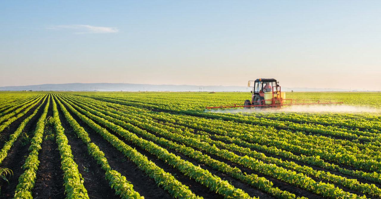 Ministerul Agriculturii se așteaptă la o recoltă mai bună în acest an