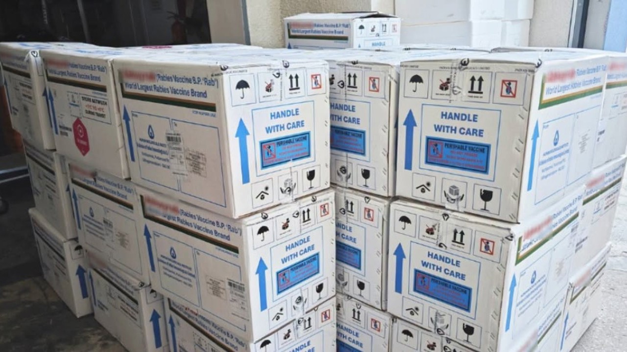 CNAM a procurat încă 11.700 de doze de vaccin antirabic, în valoare de 1.5 milioane de lei