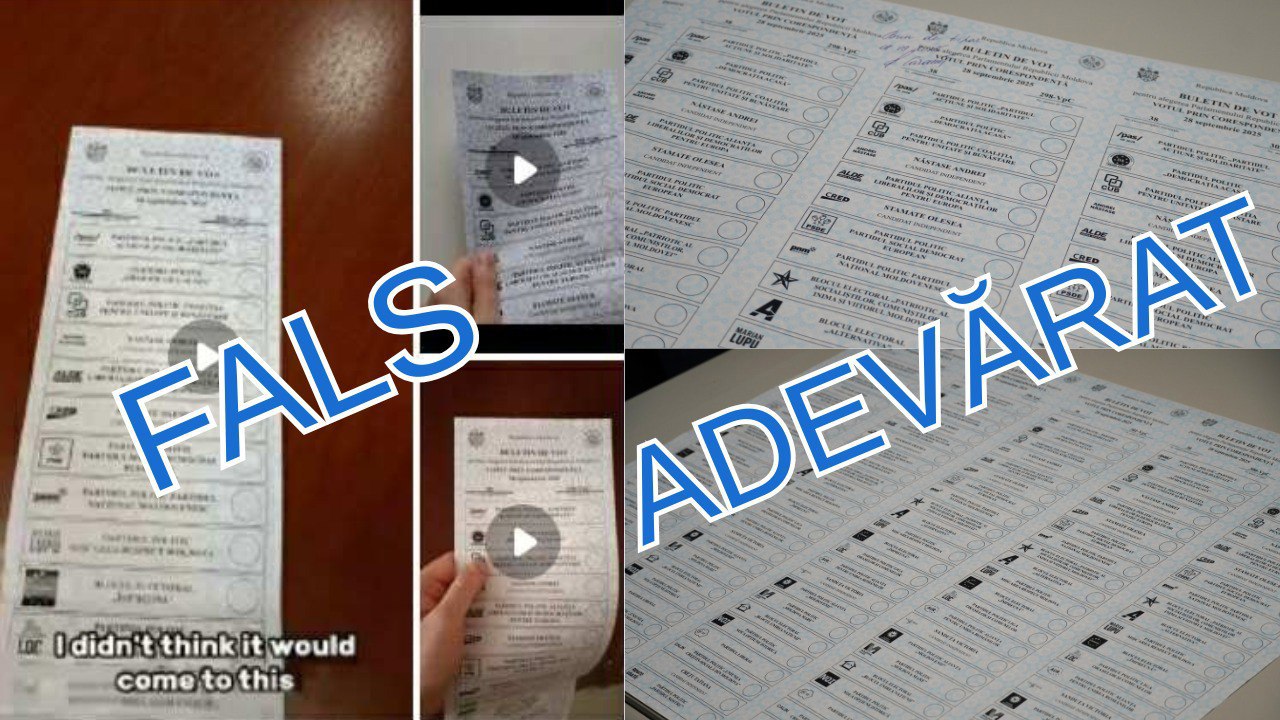 CEC: Reports of missing candidates on ballots are false