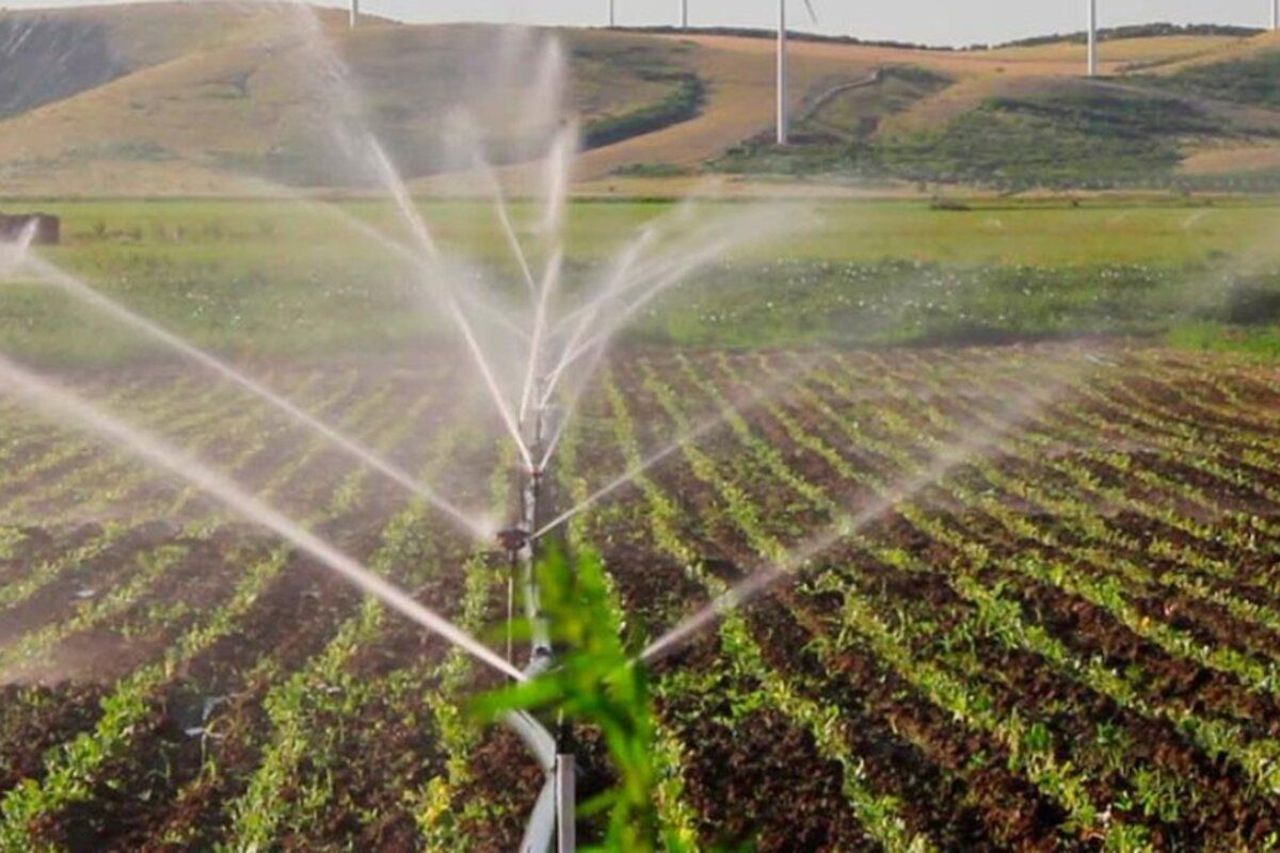 Sistemele de irigații din R. Moldova, modernizate cu 55 de milioane de euro