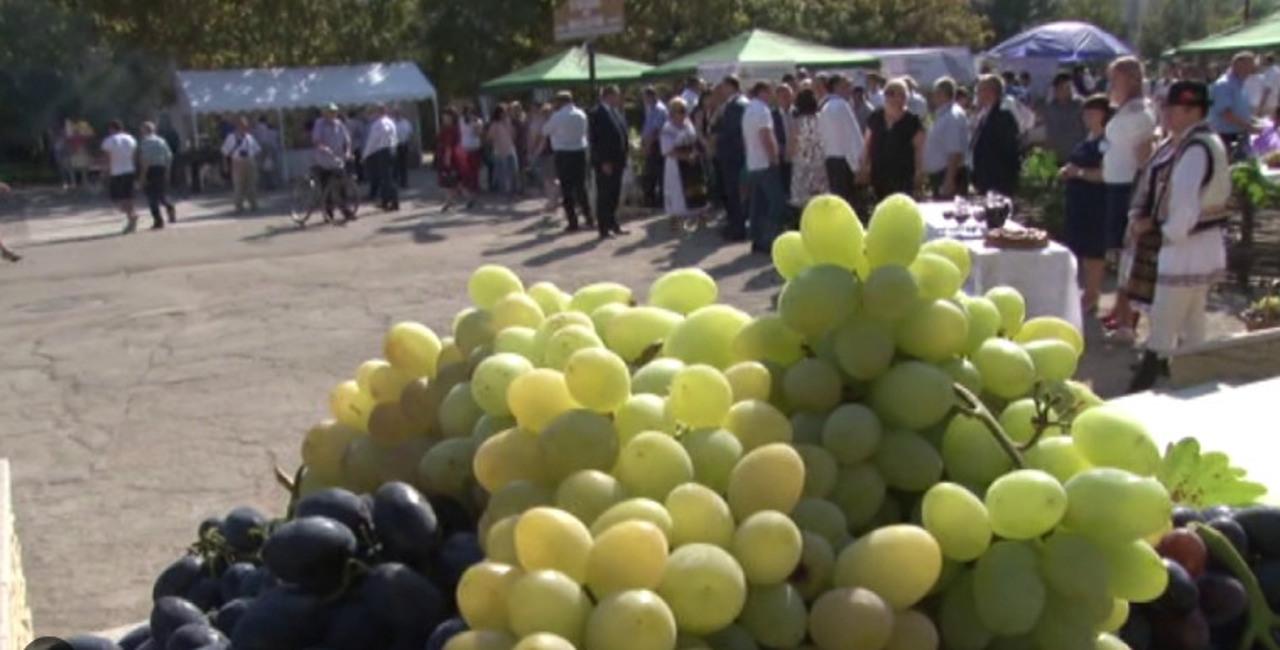 Festivalul Național al Strugurelui revine la Cimișlia. Aproximativ 35 de producători sunt așteptați la ediția din acest an