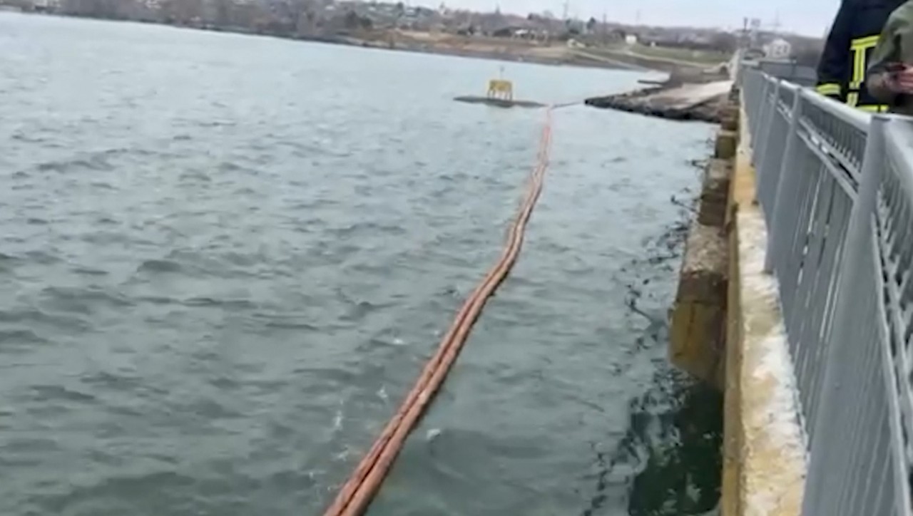 Păsări moarte, găsite pe suprafața fluviului Nistru, în apropiere de localitatea Pohrebea