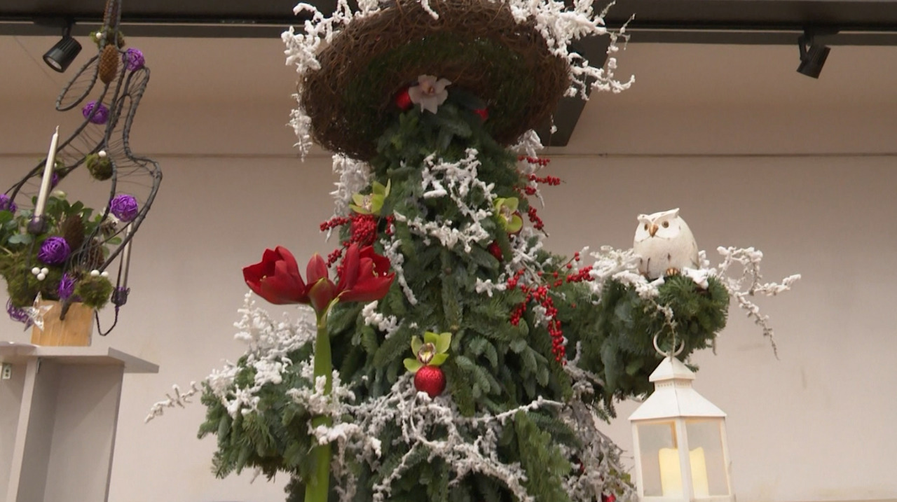 Universitatea Tehnică a Moldovei, gazda ediției 2025 a concursului „Hora florilor”