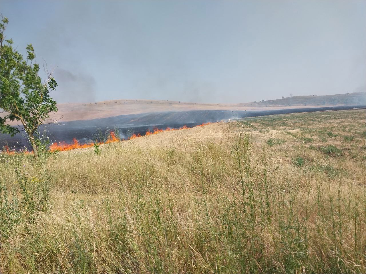 Incendiu masiv în apropiere de municipiul Comrat. Imagini de la fața locului