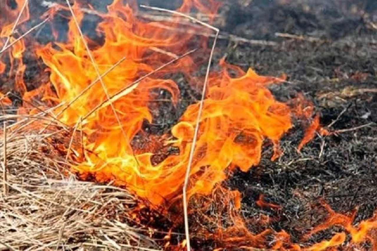 Incendiu de vegetație uscată în capitală. Focul a fost localizat după mai bine de trei ore