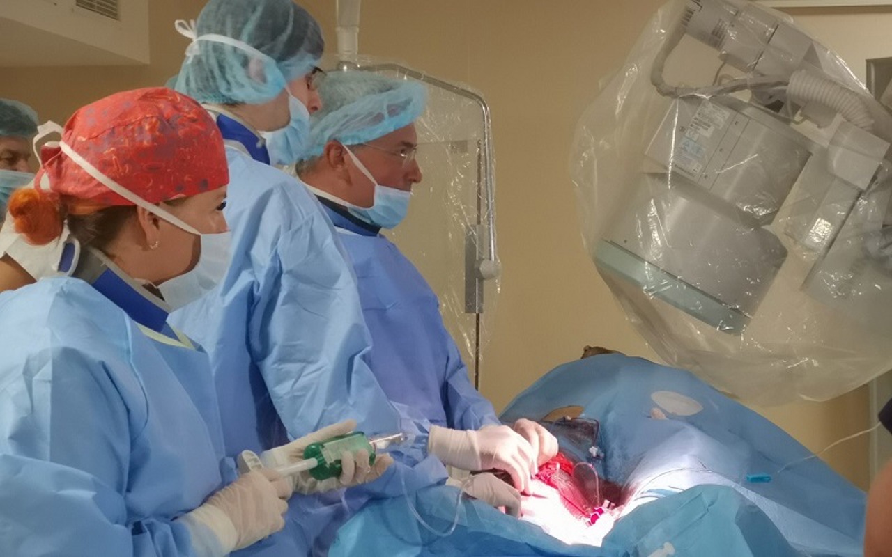 Crește numărul de accidente vasculare cerebrale în R. Moldova. Ala Nemerenco: Vor fi deschise treptat 11 centre primare 