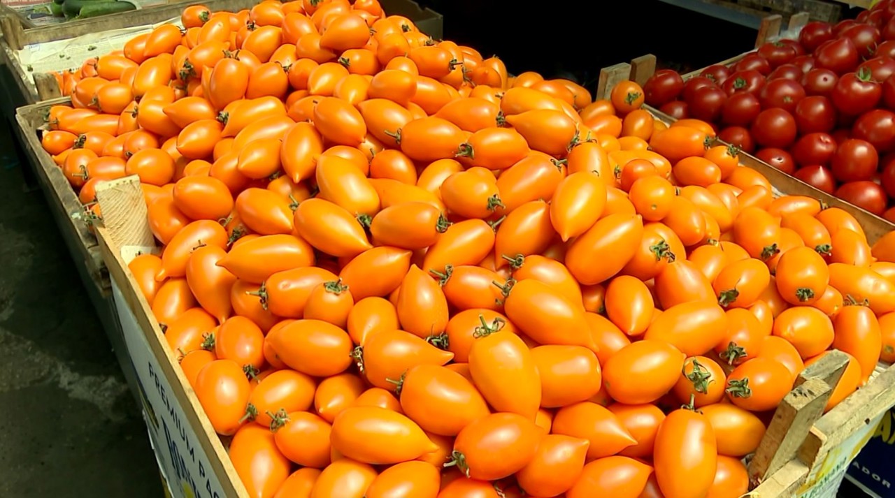Tomato surplus rots in fields as Moldovan retail barriers mount 