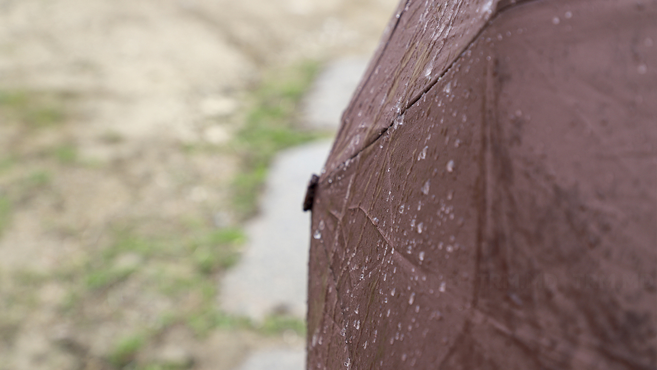 Cod galben de vijelii și grindină în Republica Moldova