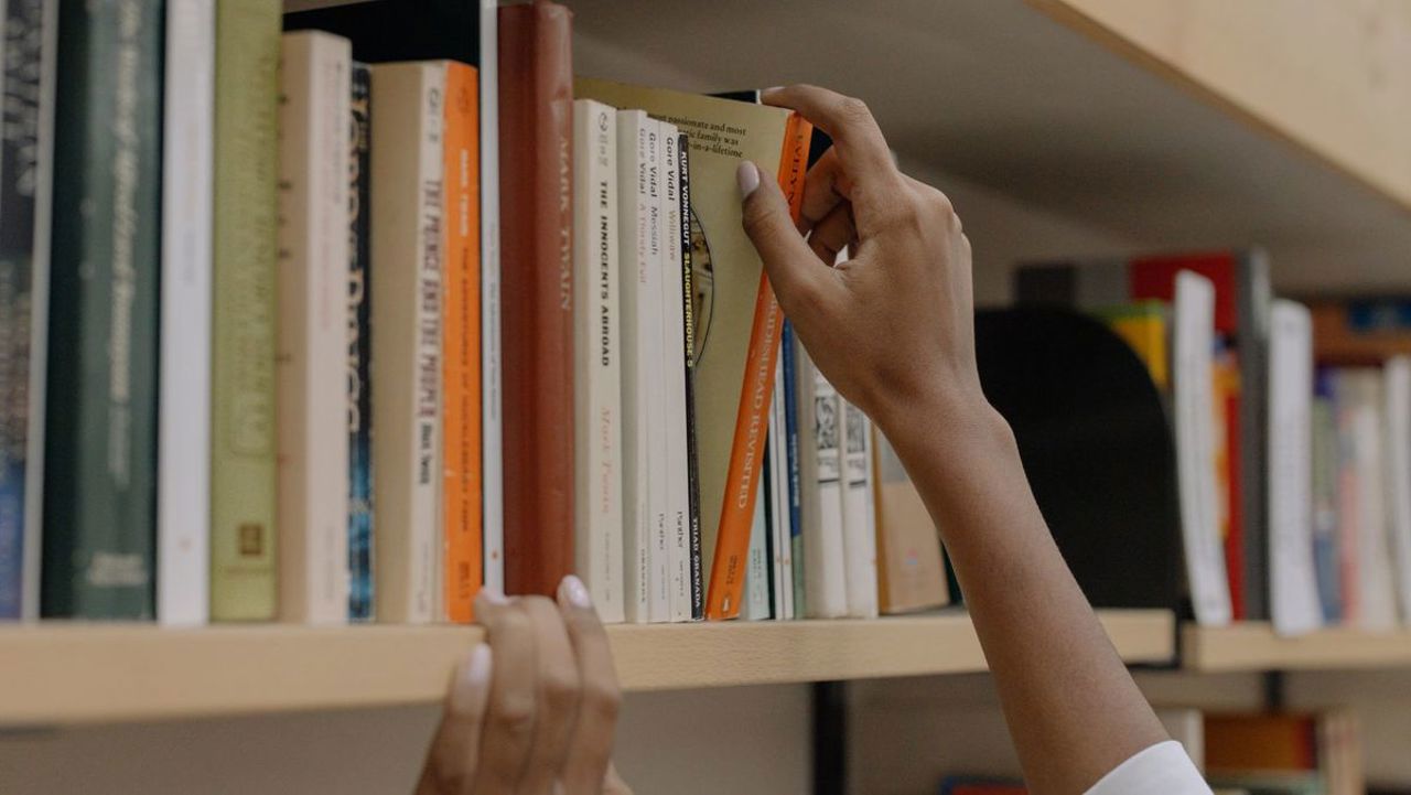 "No censorship, no blacklists": Moldova denounces CIS agreement on books