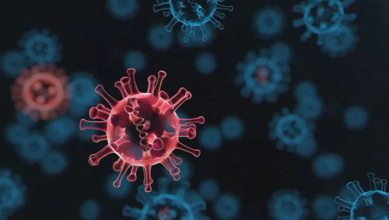 ANSP: штамм Omicron, доминирующий на территории Республики Молдова