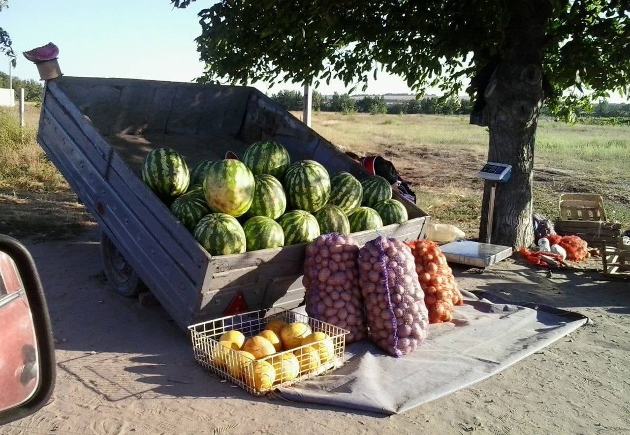 În perioada caniculară, ANSA îndeamnă consumatorii să verifice mai minuțios produsele alimentare pentru a evita toxiinfecțiile