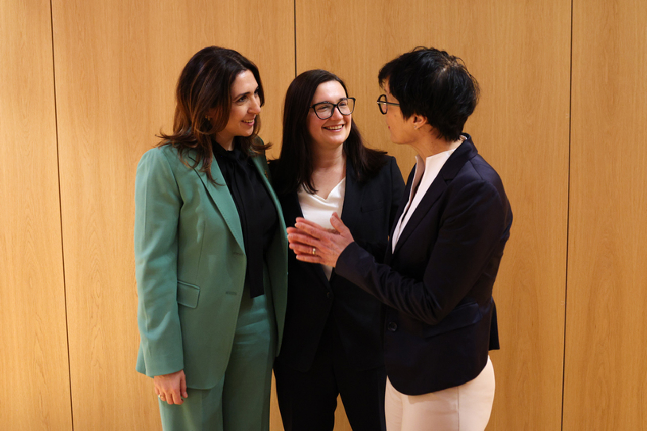 Cristina Gherasimov: Statele membre UE și-au exprimat sprijinul pentru deschiderea oficială a negocierilor de aderare cu R. Moldova