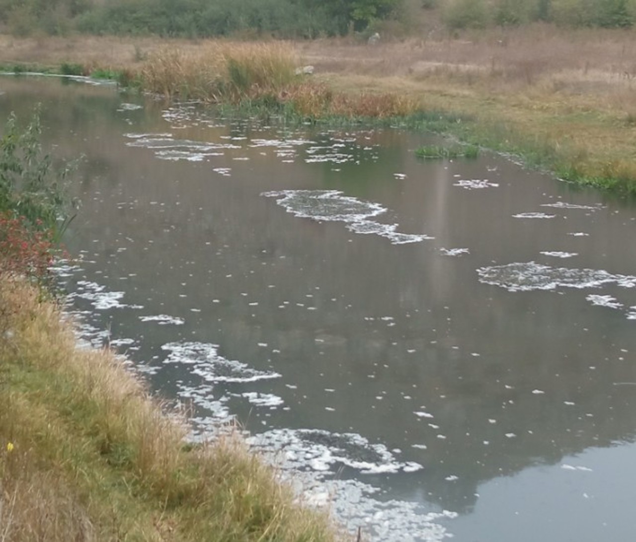 Spumă albă pe râul Răut, problemă semnalată de localnici. Ce spun autoritățile de mediu